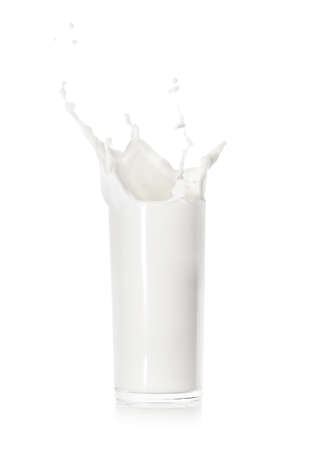 Splash of fresh milk in a glass cupの写真素材