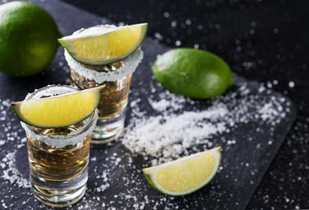 Tequila with sliced and whole lime and saltの写真素材