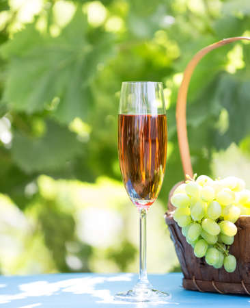 Glass of wine and a bunch of grapes in a basket on the background of vineyardの写真素材
