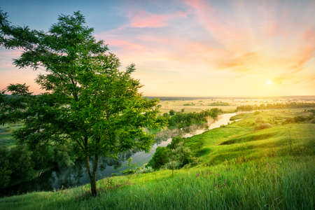 River flowing in the valley to the sun. Summer landscape. The concept of privacy travel and freedomの写真素材