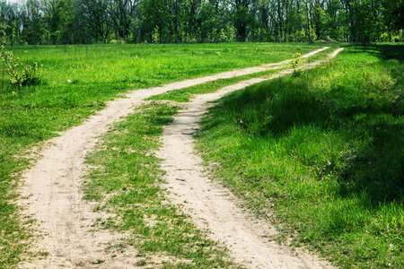 Winding country road to the forest on a summer sunny dayの写真素材
