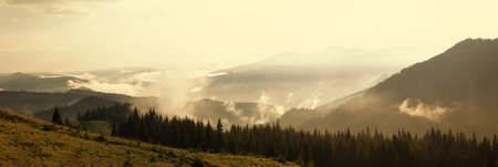 Foggy day in the mountains in summerの写真素材