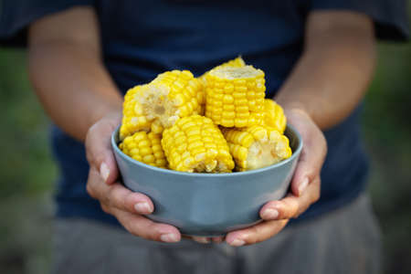 Blue bowl of corn in the hands of a woman farmer. The concept of a rich harvest and wealthの写真素材