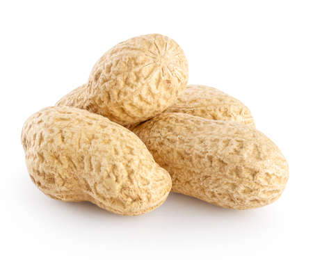 A peanut podsの写真素材