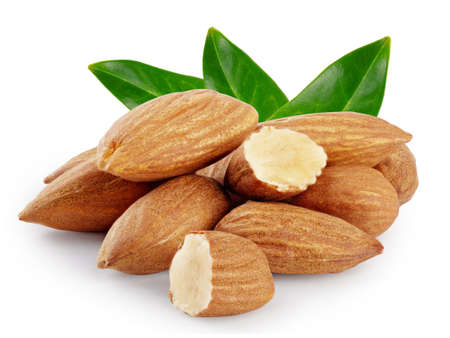 Almond nuts with three green leavesの写真素材