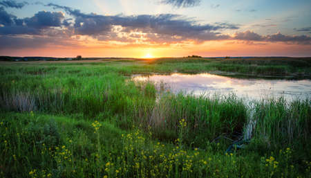 Lake among green grass at sunsetの写真素材