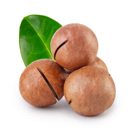 Australian macadamia nut with green leafの写真素材