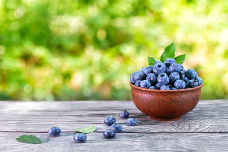 Blueberry berries in clay bowlの写真素材