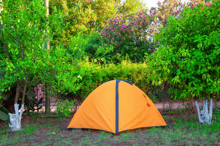 Orange tent among orange camping treesの写真素材