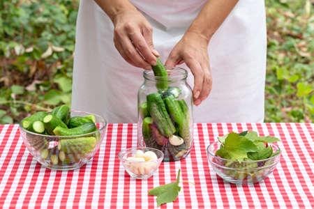 Woman's hands put cucumber in glass jar for preservation. Red checkered tablecloth. Cooking spices on the tableclothの写真素材