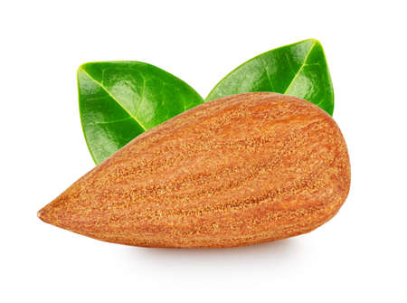 Peeled almond kernel with green leavesの写真素材