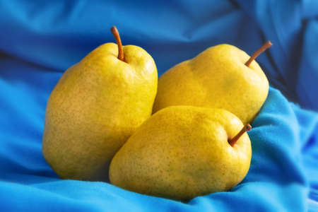 Three yellow ripe juicy pears on blue backgroundの写真素材