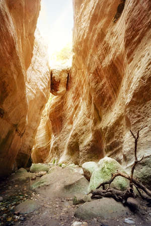 Avakas canyon on summer dayの写真素材