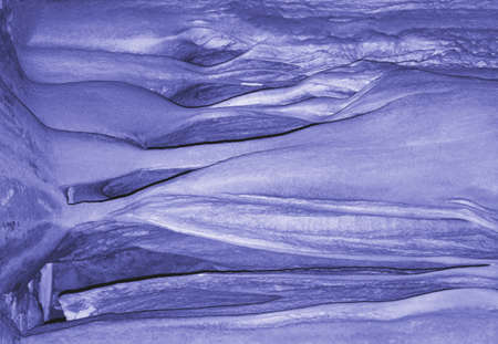 Abstract background toned in trending color 2022 Very Peri colorの写真素材