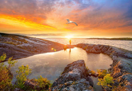 Stone shore of lake at sunsetand and seagull in skyの写真素材