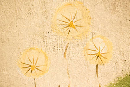 Colorful dandelions on the background of an orange wall painted with paintの写真素材