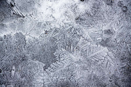 Abstraction is executed by nature. The water in the pond.の写真素材