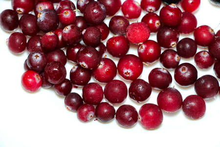 Freshly frozen berries for cooking. Cranberries - frozen they have kept their freshness and...