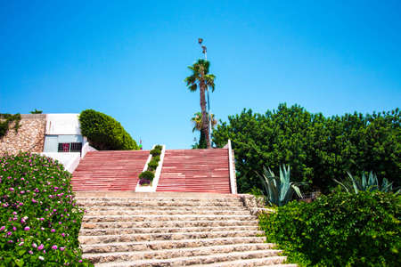 Many stone steps lead up. The steps are built of red and gray stone. Palm trees and trees grow next to the steps.の写真素材