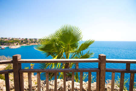 An observation deck overlooking the blue sea. The site is made in the form of a terrace for relaxation and tracking with beautiful views of the sea and the city. Palm trees grow around.の写真素材