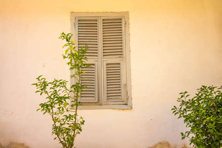 A small bush grows in front of the wall of the house. In the wall, one window made of wood is painted with white paint. The wall of the house is painted in a beige shade.の写真素材