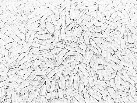 Pale and unusual background from riceの写真素材
