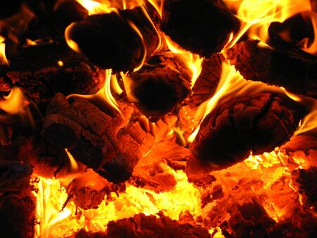 Fire wood burning in the furnace