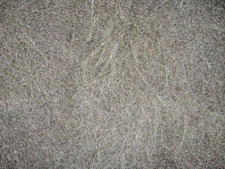 The image of the unusual grey backgroundの写真素材