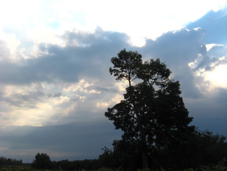 Evening landscape with cloudsの写真素材