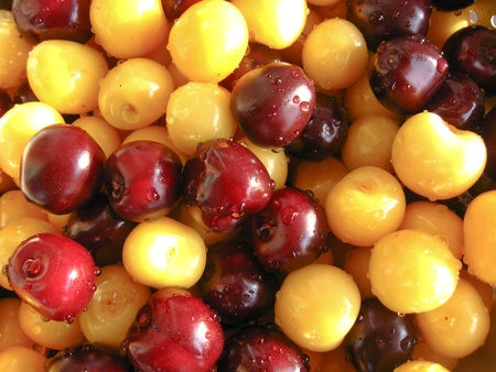 Washed berries of a sweet cherryの写真素材