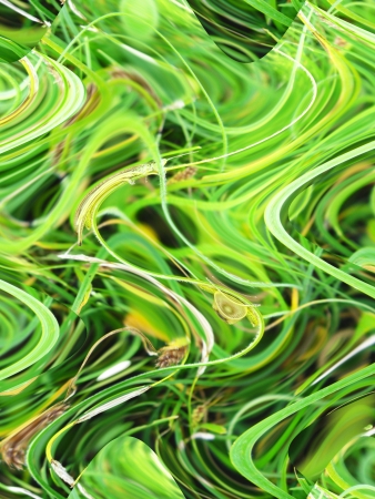 The image of green abstract background and textureの写真素材