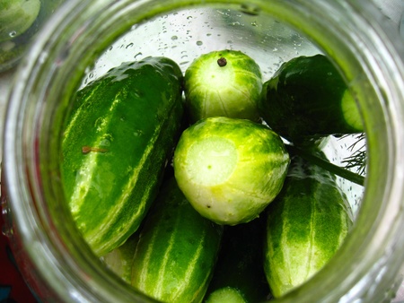 The imaga of cucumbers which prepare for preservationの写真素材