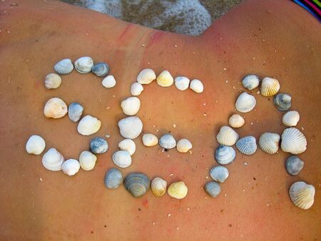 the image of inscription cockleshells on a body of the girlの写真素材