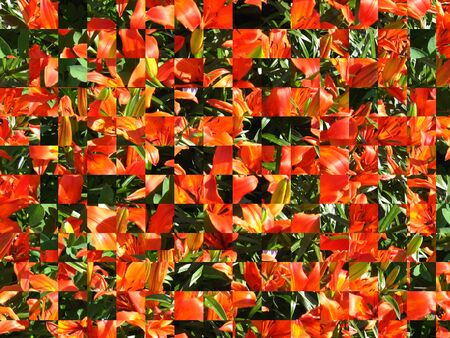 image of the strange red abstract backgroundの写真素材