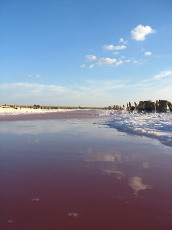 landscape extraction of salt in the salty sea