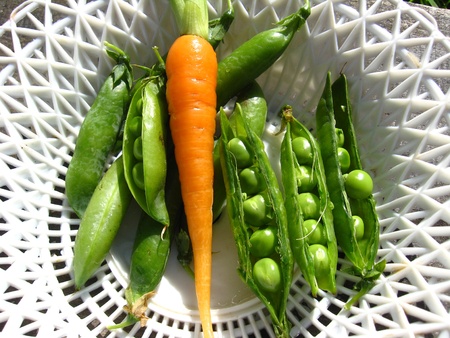 Fresh green pods of peas and carrot in a plateの写真素材