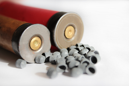 two hunt cartridges and many plumbeous fractions