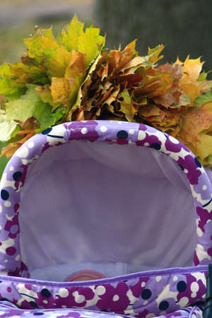 perambulator and wisp os yellow autumn leaves on itの写真素材