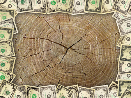 Frame from the American dollars on the background of wooden cutの写真素材