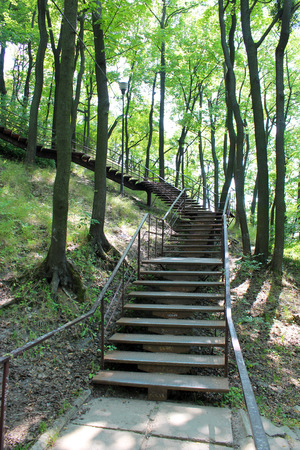 beautiful stairs in the park with big treesの写真素材