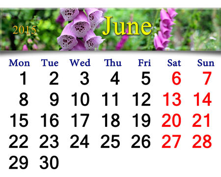 calendar for June of 2015 with flowers of flowers of lilac bluebellsの写真素材