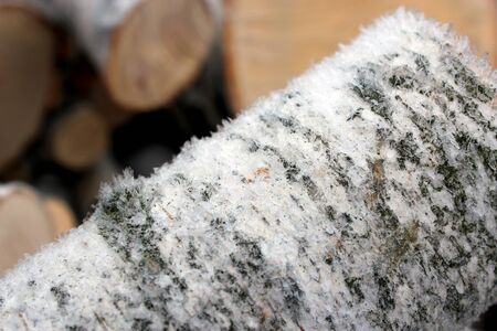 Fire wood from birch covered by hoar-frost