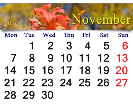 calendar for November 2016 with the ribbon of red maple Autumn leaves. Calendar for printing and using in office life.の写真素材