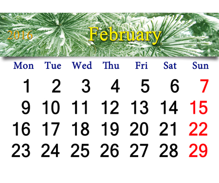 calendar for February 2016 on the background of snowy pines and hoarfrost on the treesの写真素材