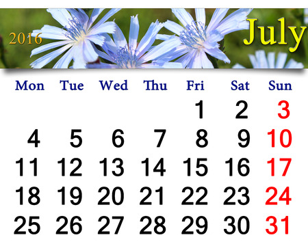 calendar for July 2016 with Cichorium in the summer fieldの写真素材