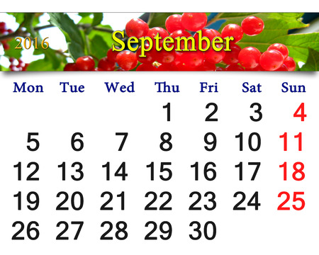 calendar for September 2016 with red snowball treeの写真素材