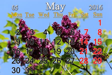 calendar for May of 2016 with flowers of lilac. Calendar for printing and using in office life.の写真素材