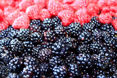 heap of ripe berries of blackberry and raspberry