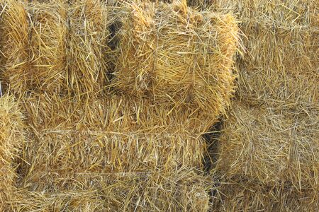 straw stacked in bales in the farmの写真素材