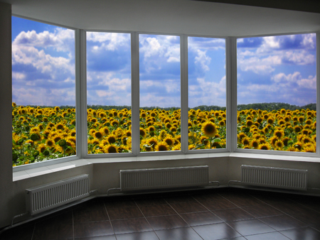 room with metal-plastic windows overlooking the field of sunflowersの写真素材